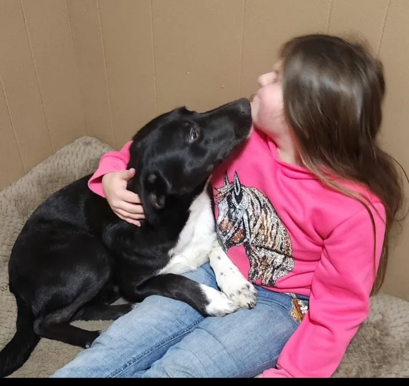 Lilly Lou thumbnail 3