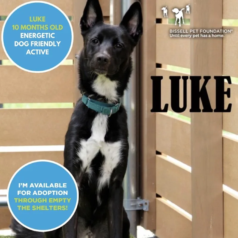 Luke thumbnail 3