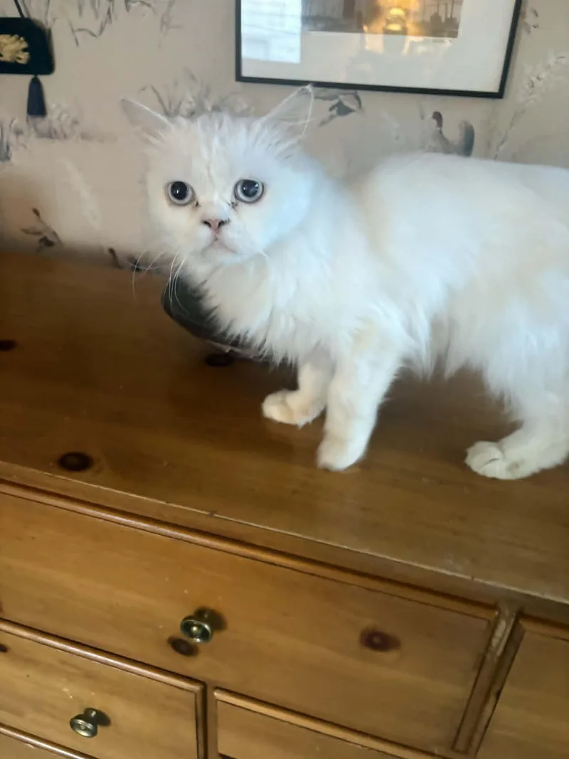 Walter
