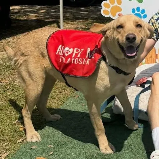 Stella Bella thumbnail 2