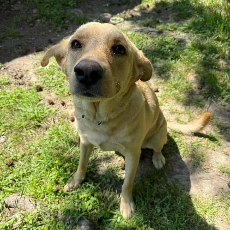 Stella Bella thumbnail 3