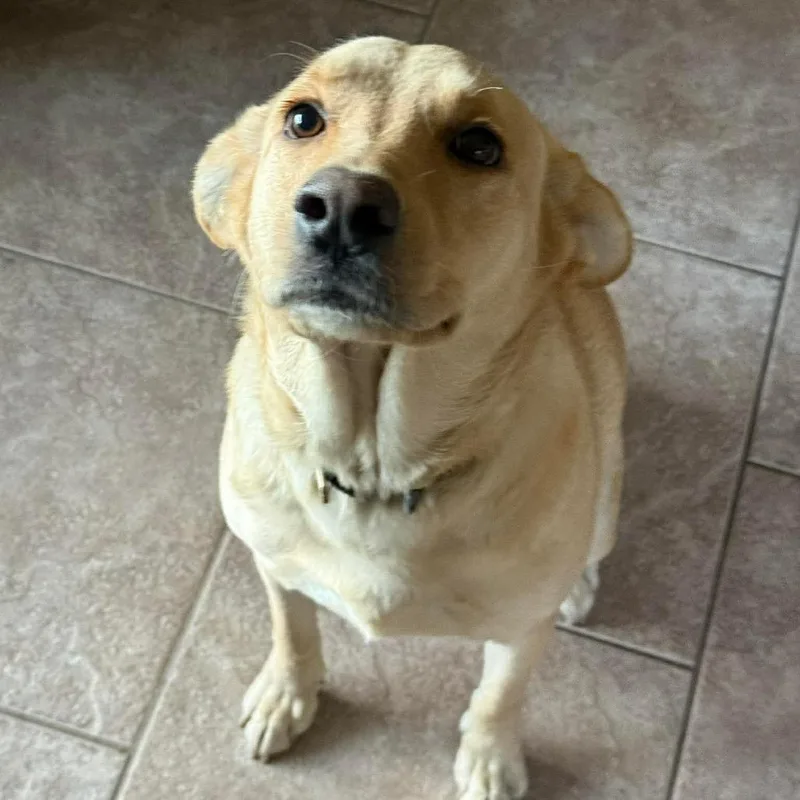 Stella Bella thumbnail 6