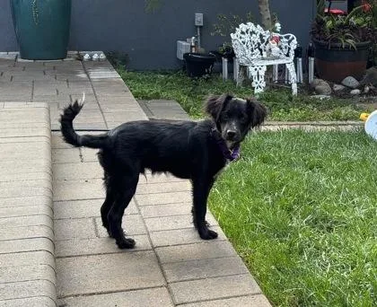 Ipad Kid thumbnail 2