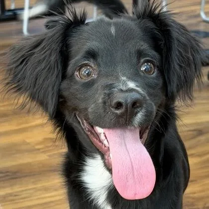 Ipad Kid thumbnail 3