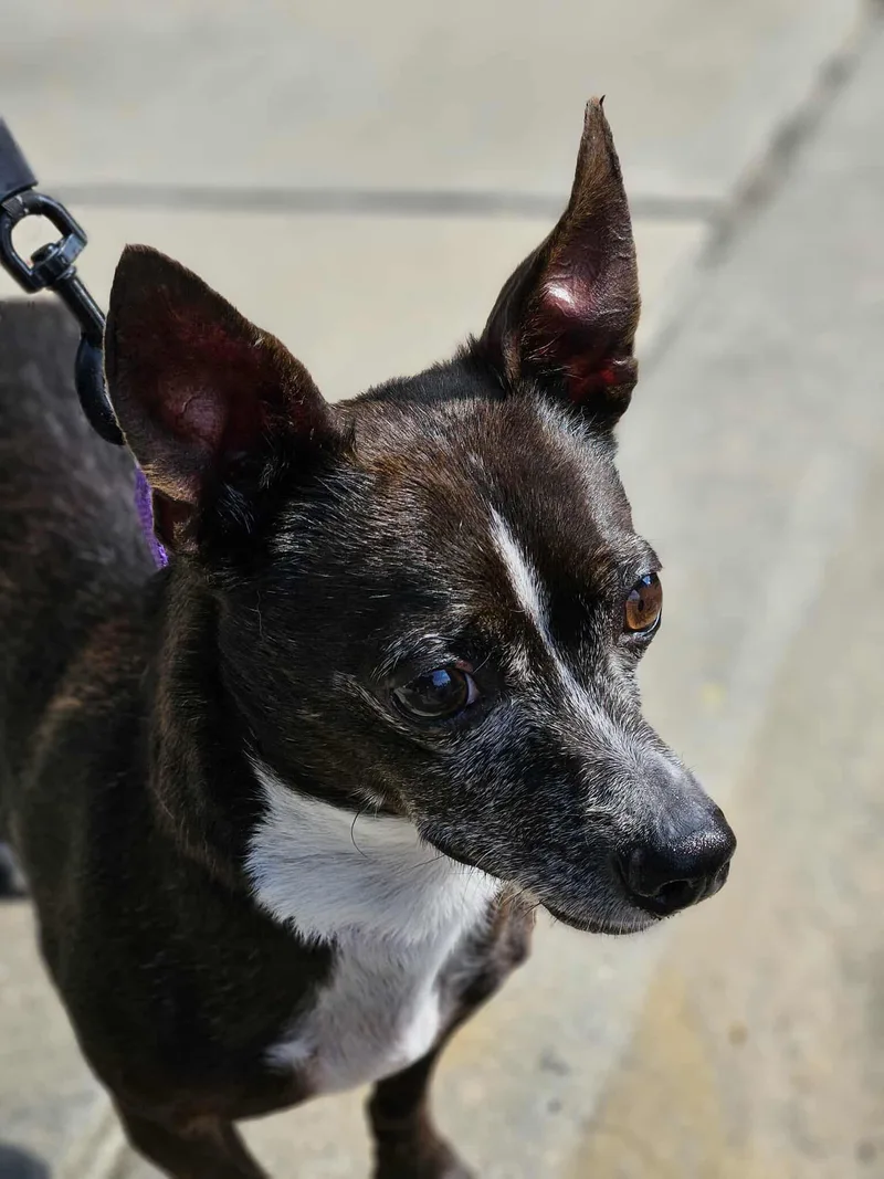 Stewie  Handsome Little