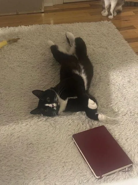 Charlie And Farrah thumbnail 2