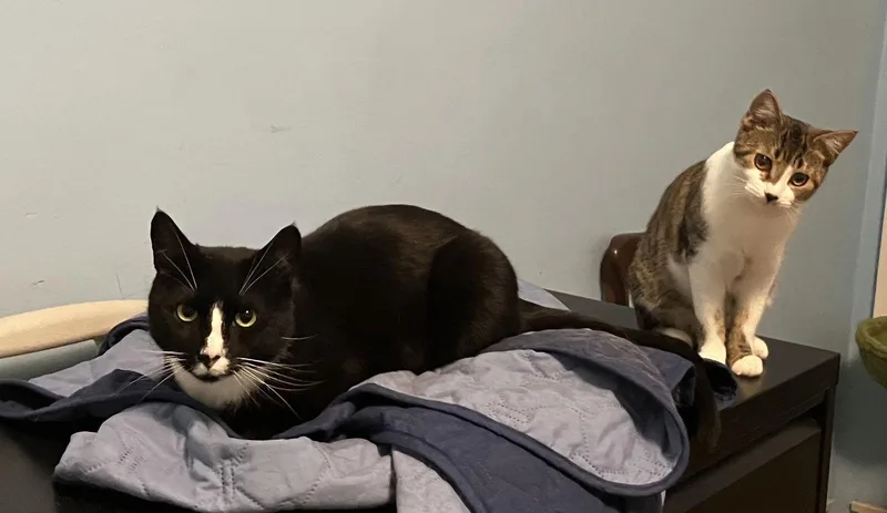 Charlie And Farrah thumbnail 3