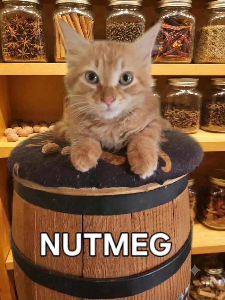 Nutmeg thumbnail 2