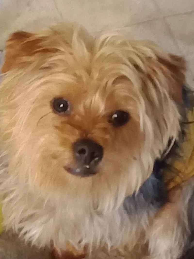 Buster thumbnail 2