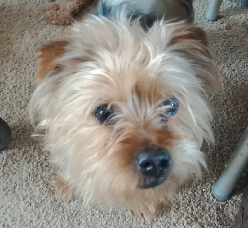Buster thumbnail 3