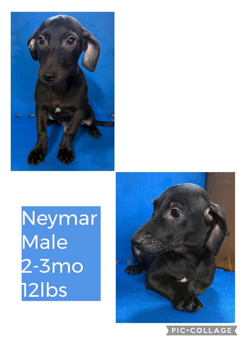 Neymar thumbnail 2