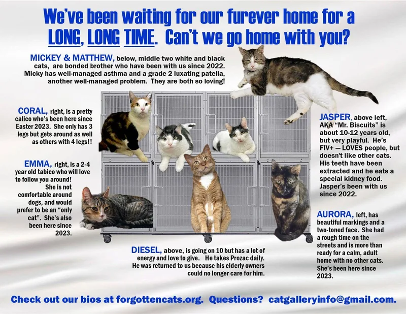 Longer Timers Part :