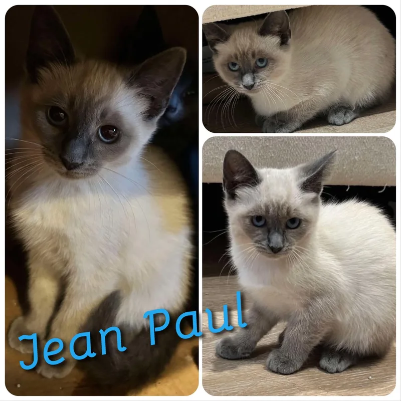 Jean Paul thumbnail 2