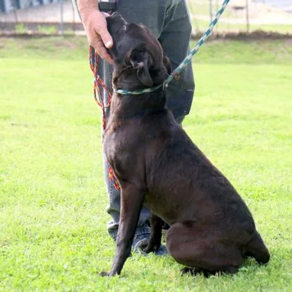 Tallulah thumbnail 2