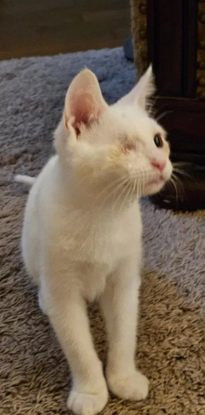 Saint Nick `a Priority