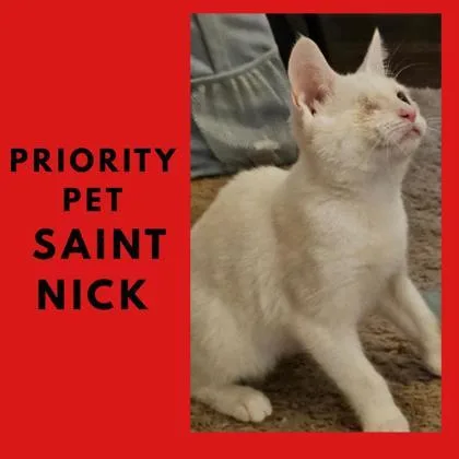 Saint Nick `a Priority thumbnail 2