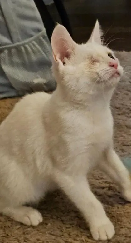 Saint Nick `a Priority thumbnail 3