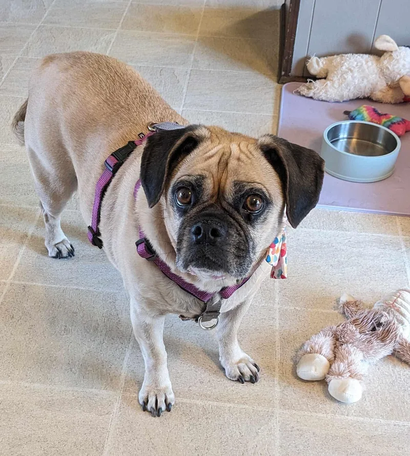 Winnebago thumbnail 2