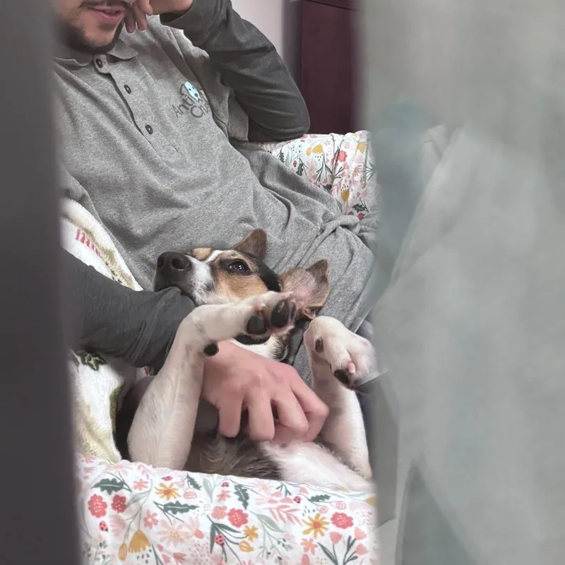 Poindexter thumbnail 3