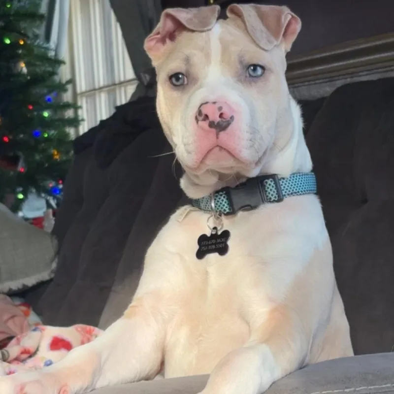 Pluto  Home To thumbnail 2