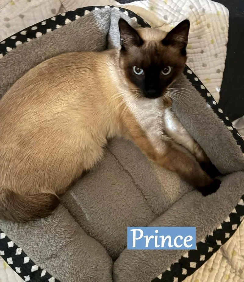 Prince