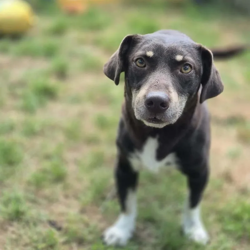 Tuck