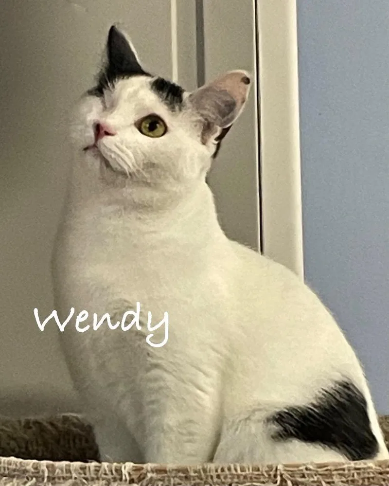 Wendy thumbnail 2