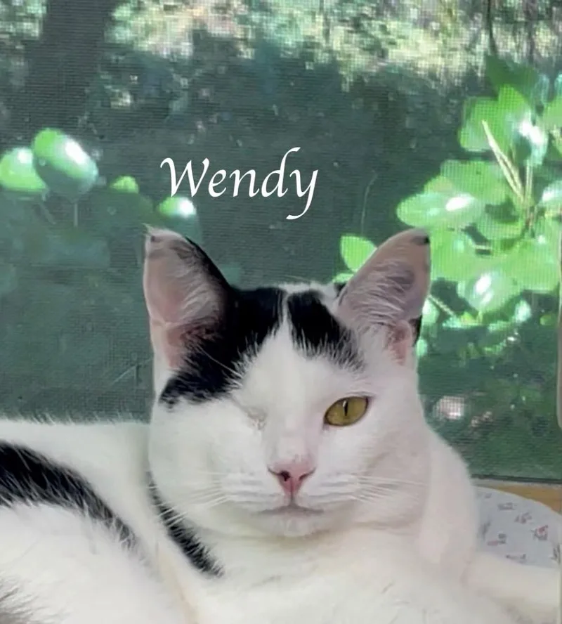Wendy thumbnail 4