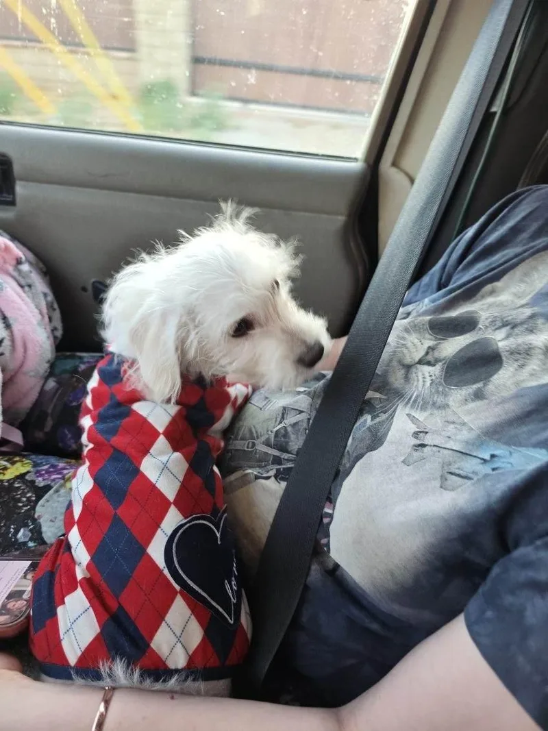 Chloe thumbnail 2