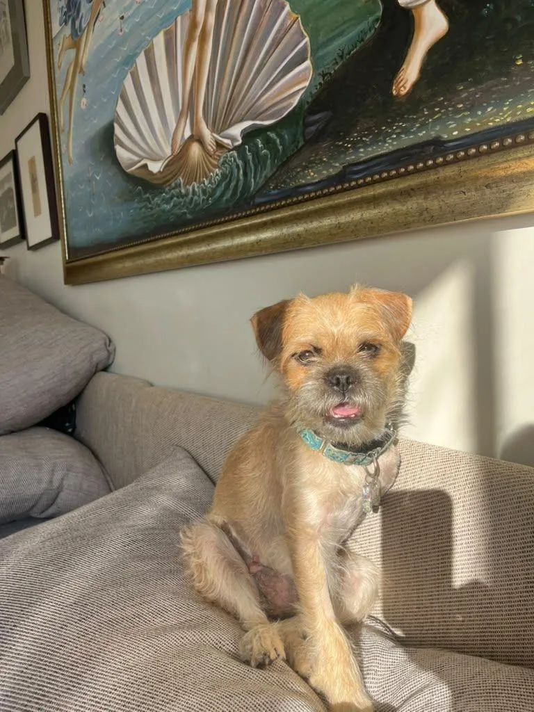 Gucci thumbnail 2