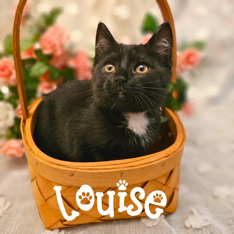 Louise thumbnail 3