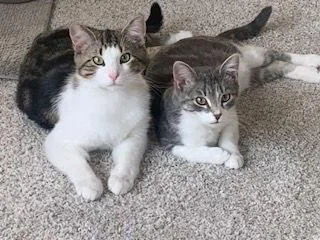 Phillip & Itsy thumbnail 3