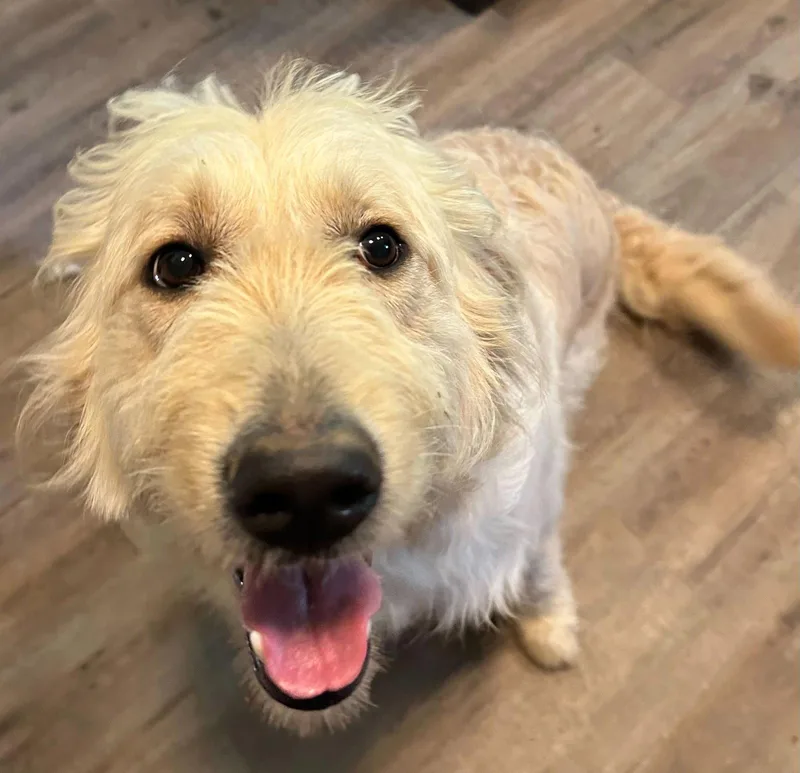 Bunny Apr thumbnail 2