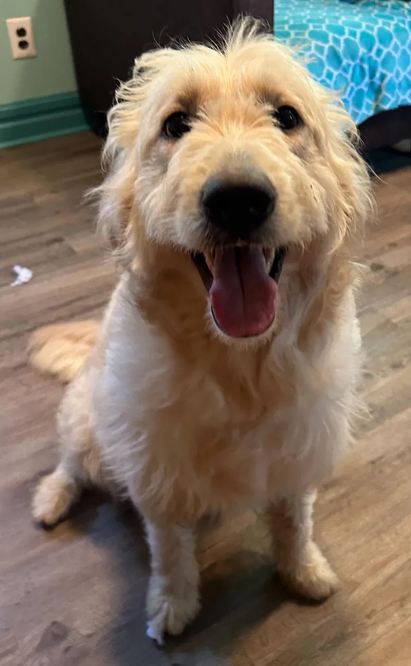 Bunny Apr thumbnail 3