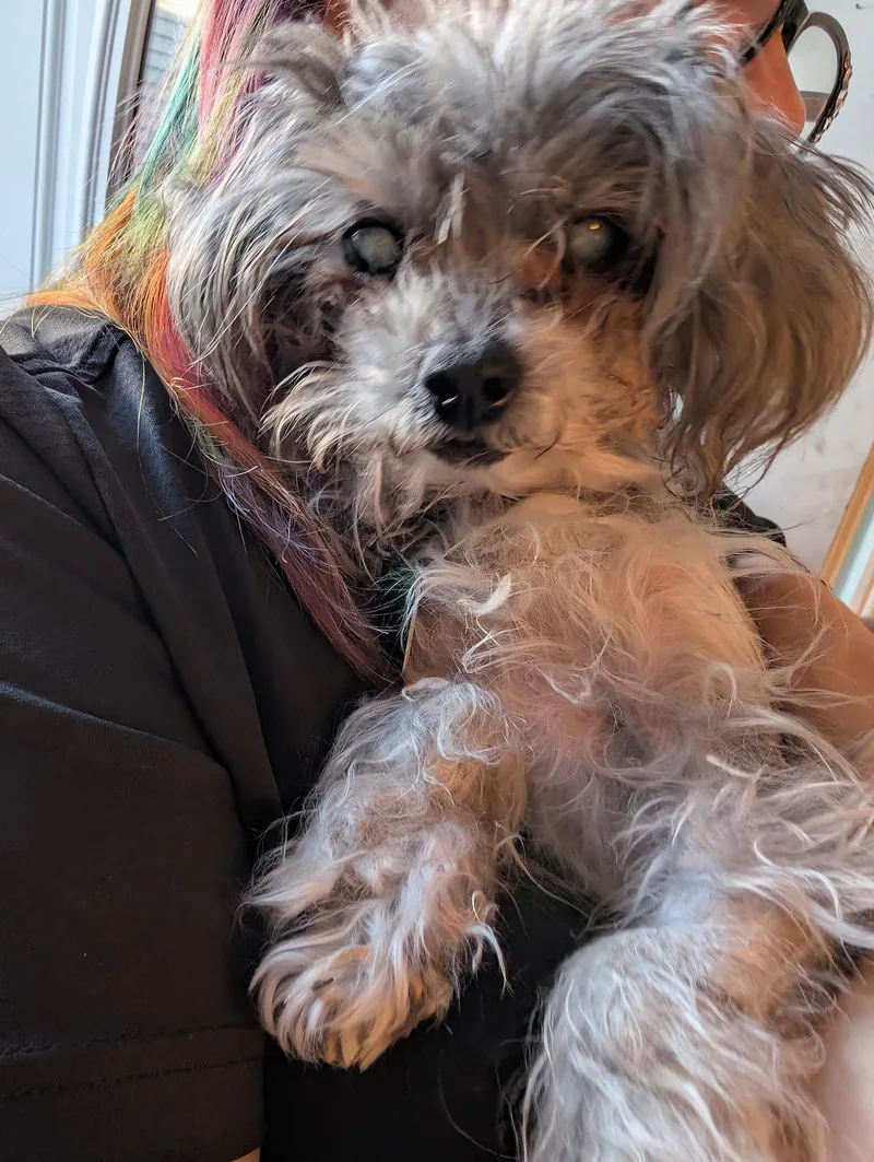 Dottie May Hospice thumbnail 2