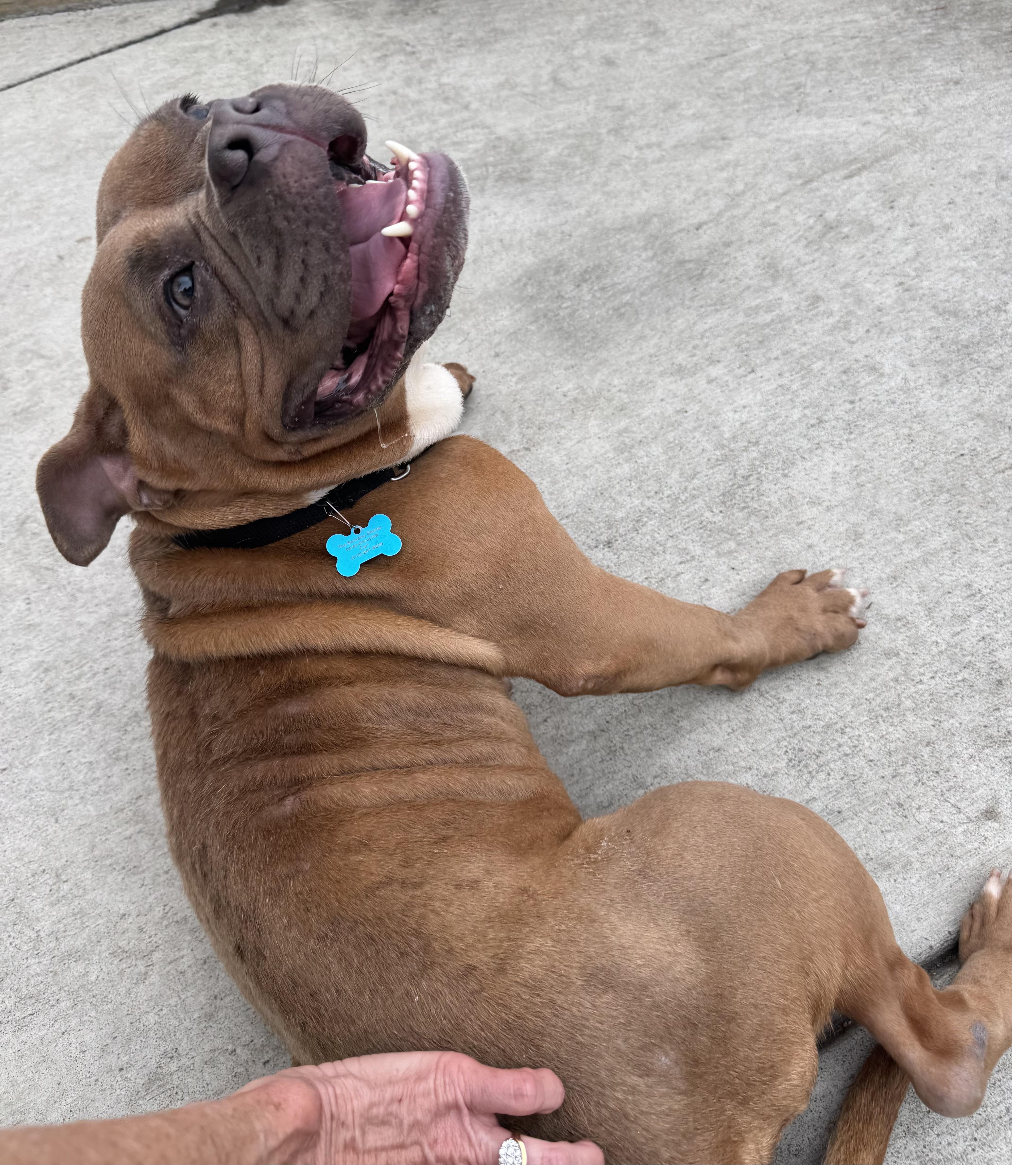 Persephone thumbnail 4