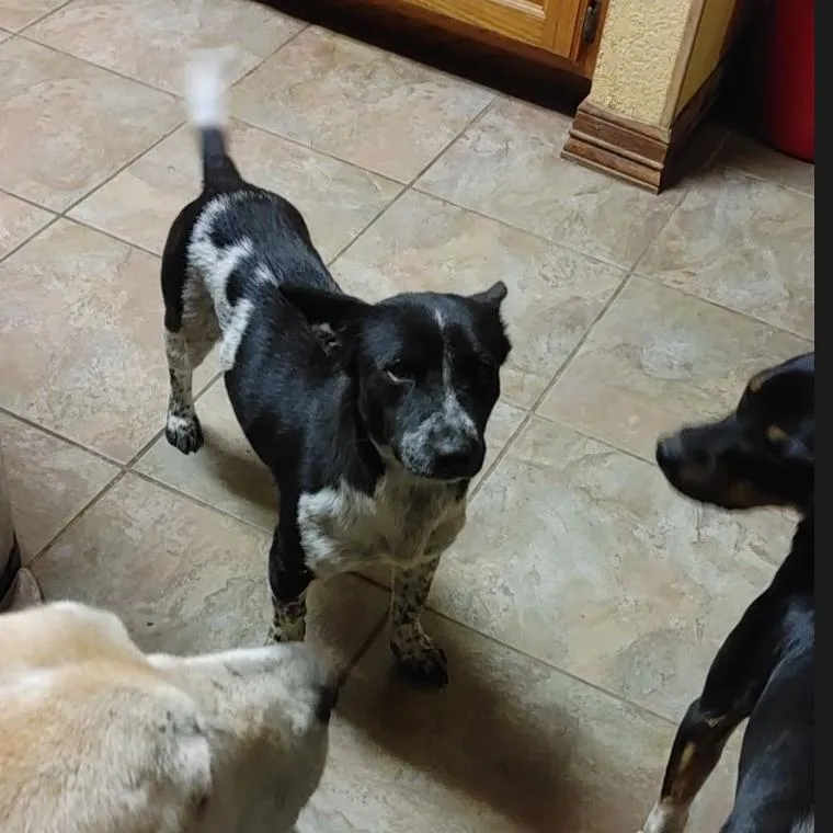 Little Bit thumbnail 2