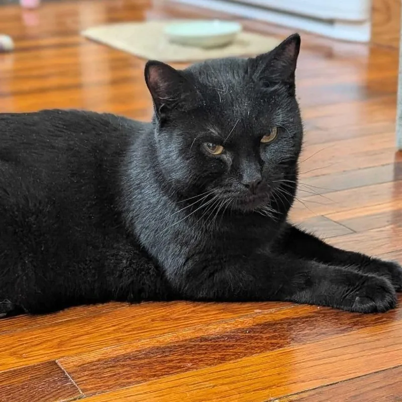 Grapevine thumbnail 2