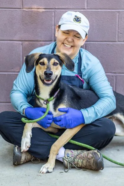 A young large-sized male Mixed Breed dog named Buckheart for adoption in Chamblee, GA