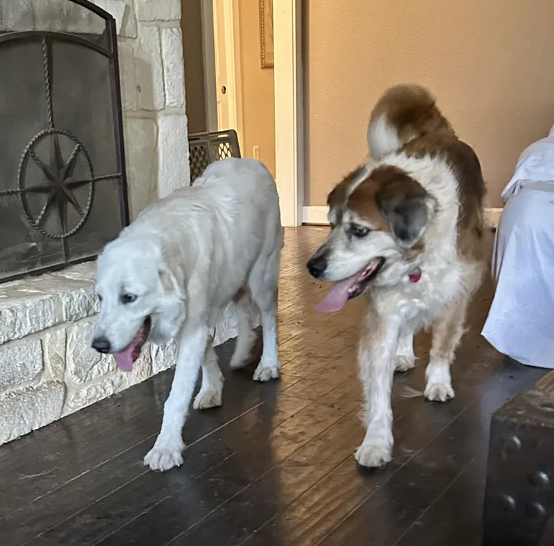 Otis Sat thumbnail 4