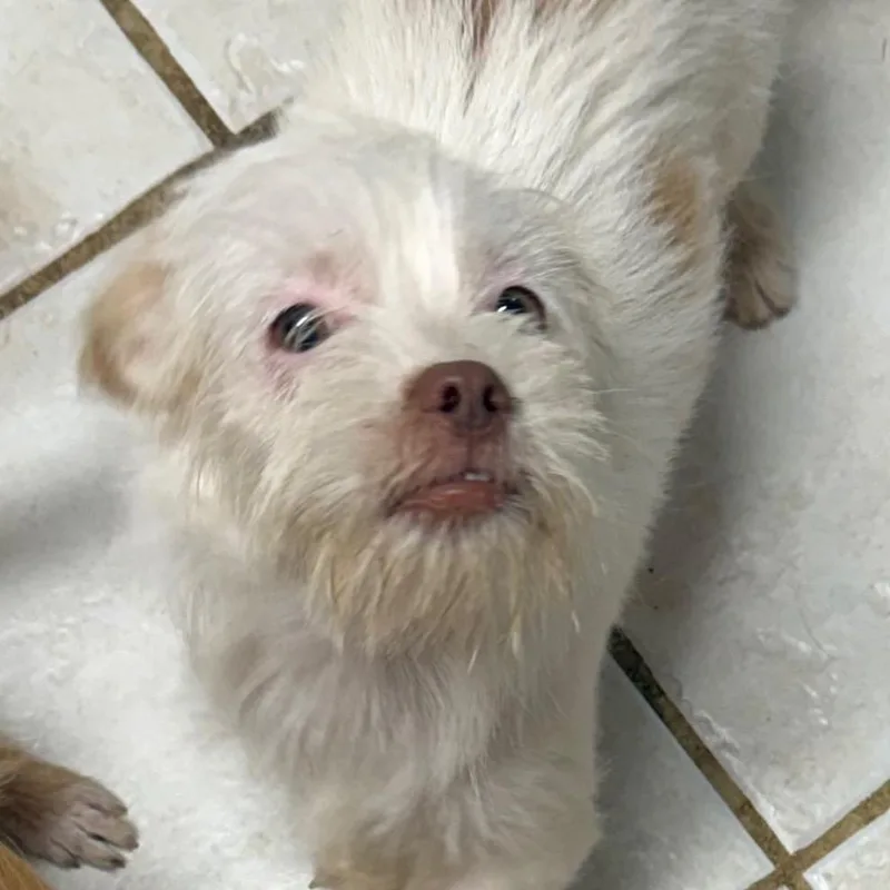 Winnie