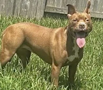 Lola