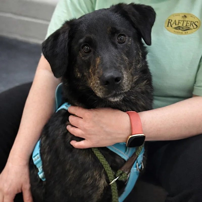 Lillyann  L Litter thumbnail 4