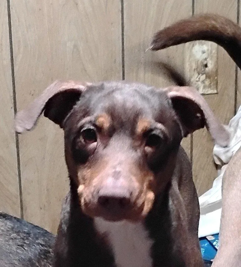 Penny Scas thumbnail 2