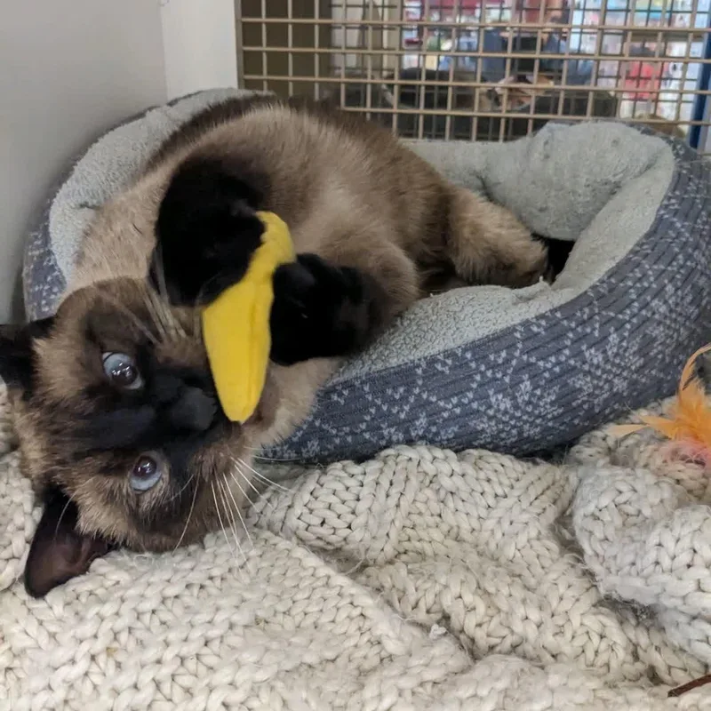 Lucille  Sweet And thumbnail 2