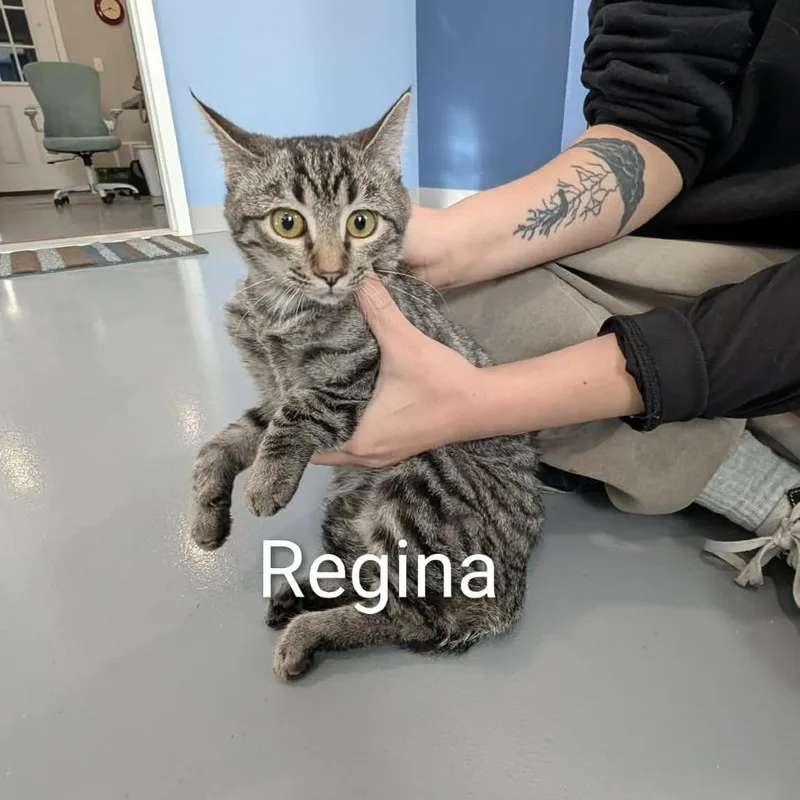 Regina
