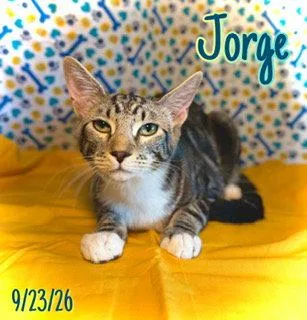 Jorge thumbnail 2