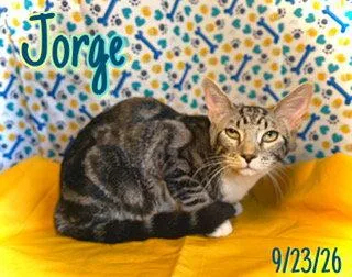 Jorge thumbnail 3
