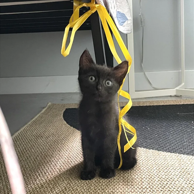Luna