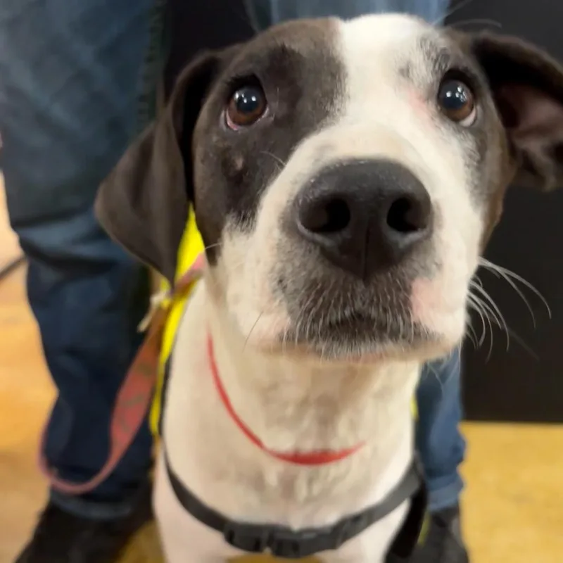 Momma Mia thumbnail 3